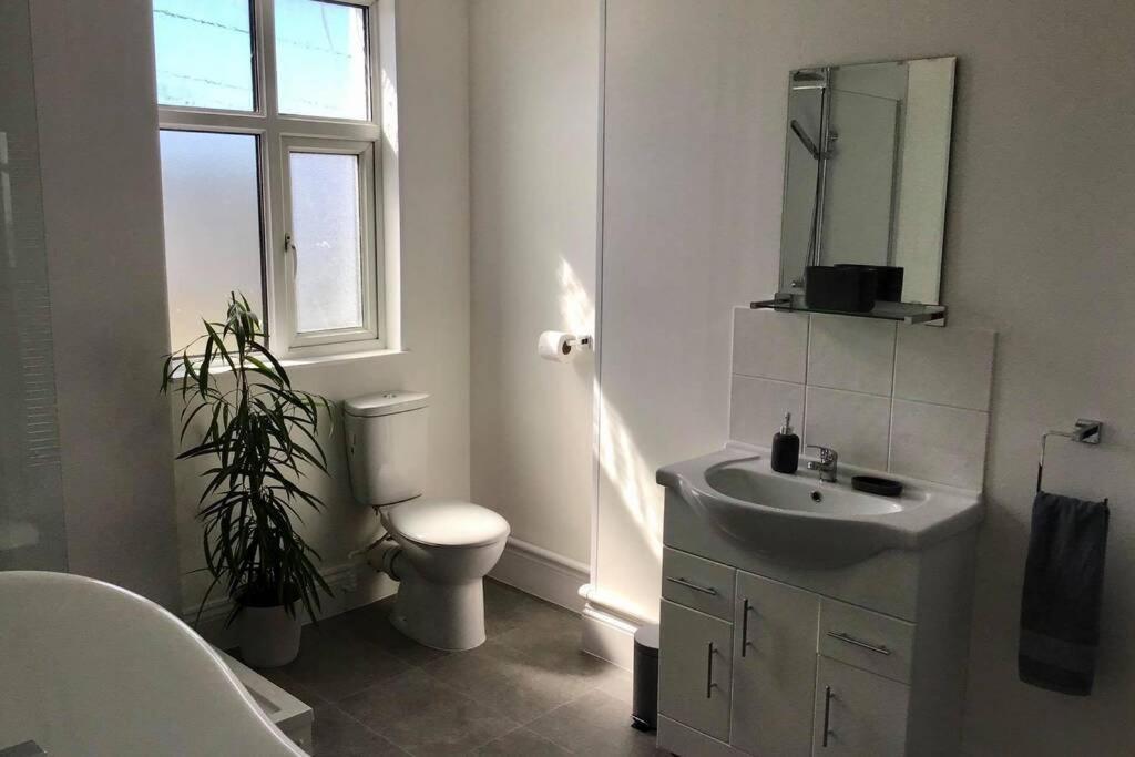 Large 5 Bed 3 Bath House 300 Meters From Beach And Restaurants New Quay Екстериор снимка